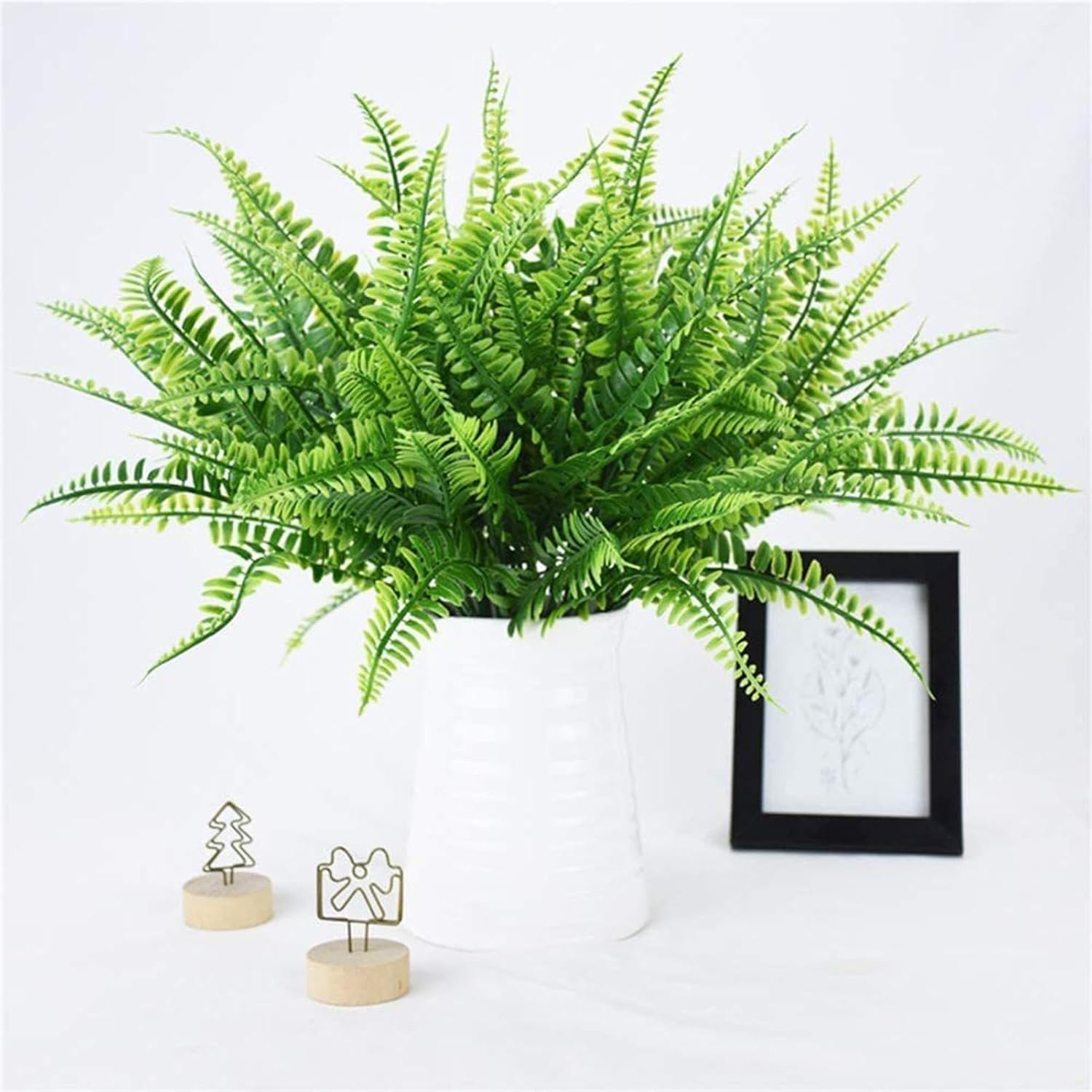 Blijvende Groene Varen Decoratie