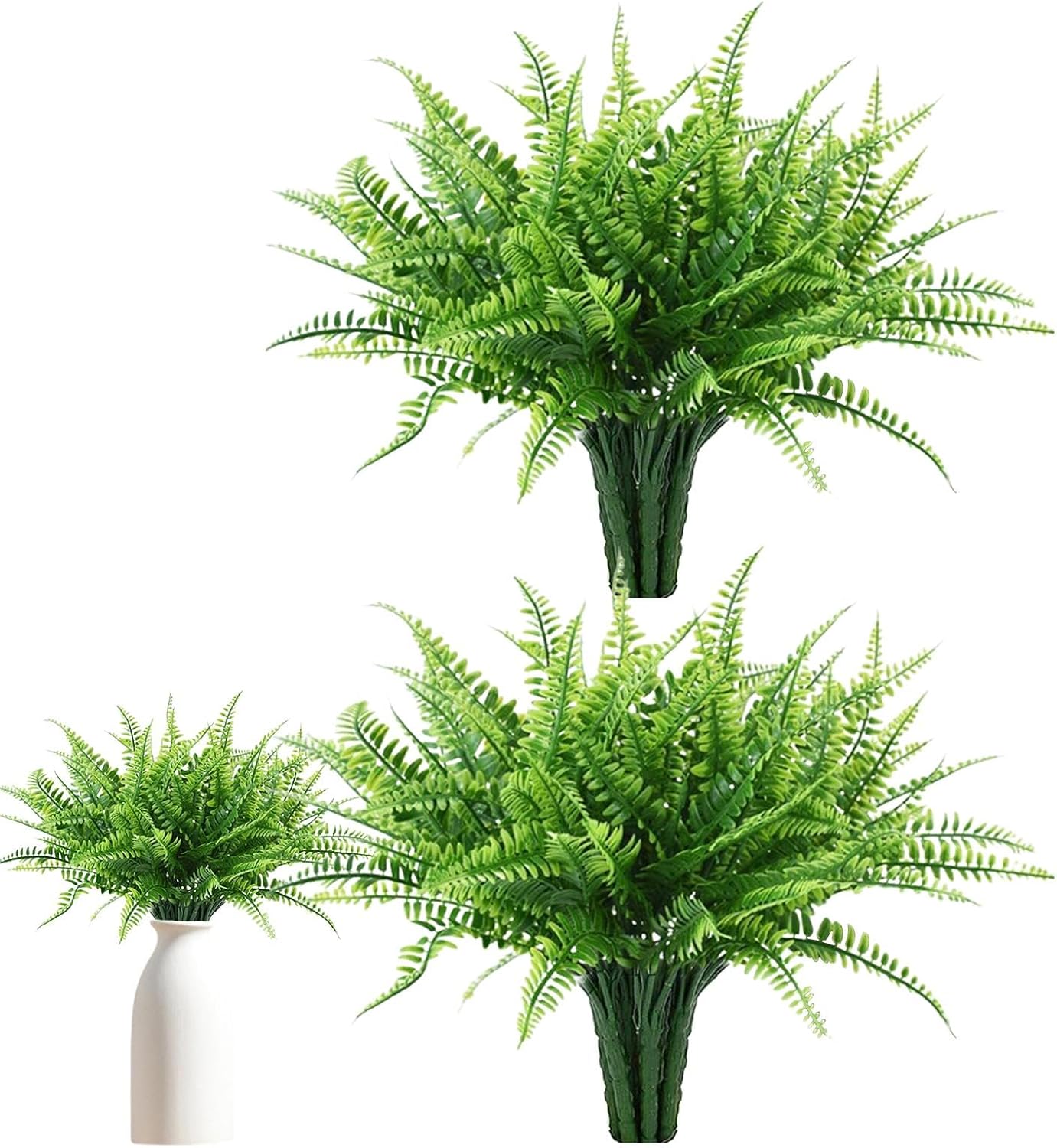Blijvende Groene Varen Decoratie